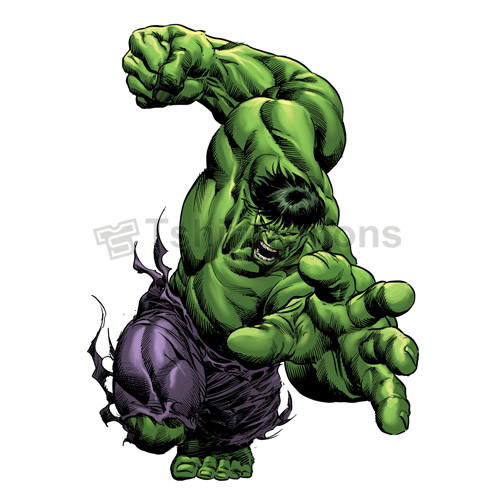 Hulk T-shirts Iron On Transfers N4550
